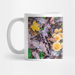 nature, autumn, mushrooms in autumn leaves Mug